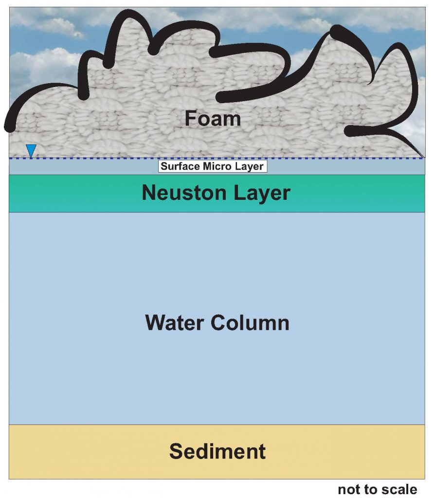 Figure 16-2. PFAS foam on surface water