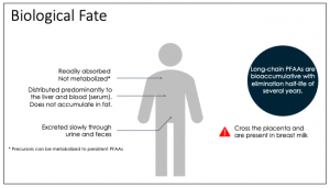 http://pfas-dev.itrcweb.org/wp-content/uploads/2022/07/Figure9-4Update6-15-22-300x171.png